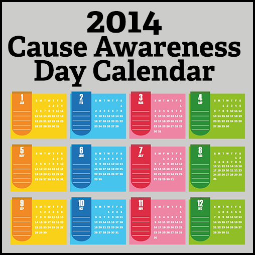 Digital Fundraiser 2014 Cause Awareness Days